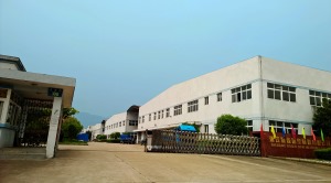 公司介绍