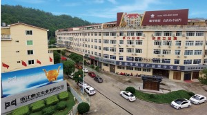 公司介绍